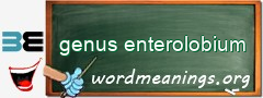WordMeaning blackboard for genus enterolobium